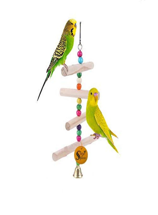 Sage Square Natural Wood Hanging Toy - Interactive Fun for Small & Medium Birds - Cage Accessories for Cockatiel, Lovebird, Budgerigar, Canary, and More,Elevate Your Bird's Playtime (Toy 5) - Image 1